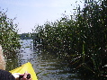 Hofsee 2007 - Durchgang zum Woseriner See