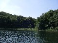 Woseriner See 2007 - Ausgang zur Bresenitz